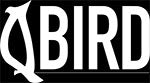 QBird Limited Edition Camouflage, Shoes, Apparel and more